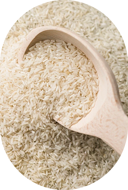 Rice