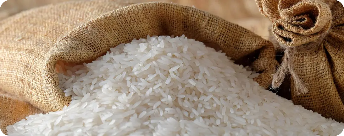 1121 Raw Basmati Rice Manufacturers in India – Aarush Food Grain Pvt. Ltd.