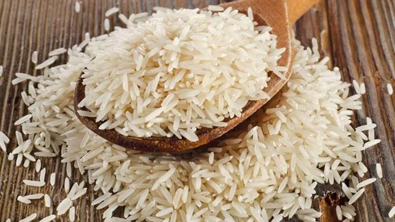 Premium Quality Indian Basmati Rice Exporter in India – Aarush Food Grain Pvt. Ltd.