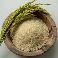 Raw Rice Manufacturer in India – Quality Grains from Aarush Food Grain Pvt. Ltd.
