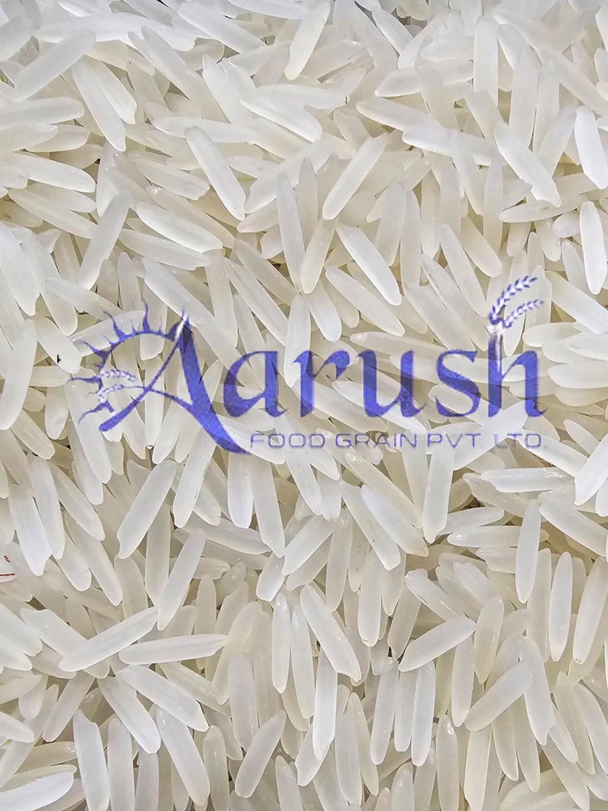 Sella Rice Exporter in India